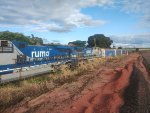 RUMO 685